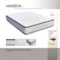 /album/fotogaleria/a12-minerva-jpg/